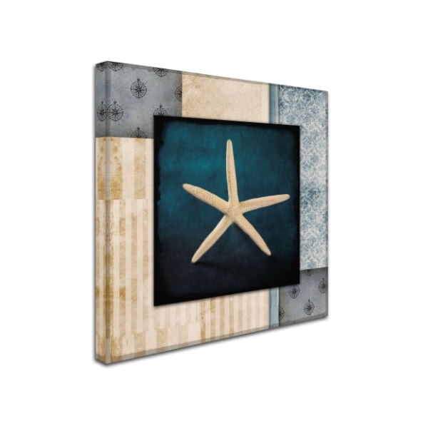 LightBoxJournal 'Blue Sea Starfish' Canvas Art,35x35